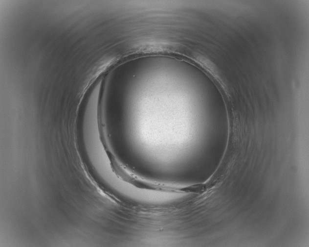 X0000056330485200509232017