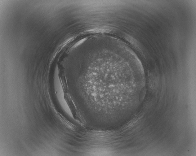 X0000056330486200509232017