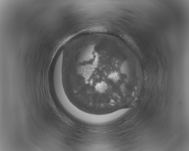 X0000056330487200509232017