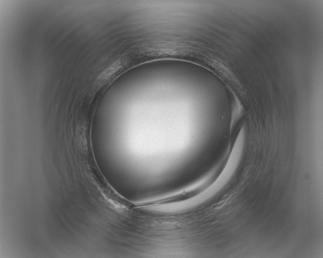 X0000056330489200509232017