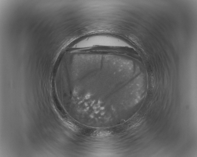 X0000056330491200509232017