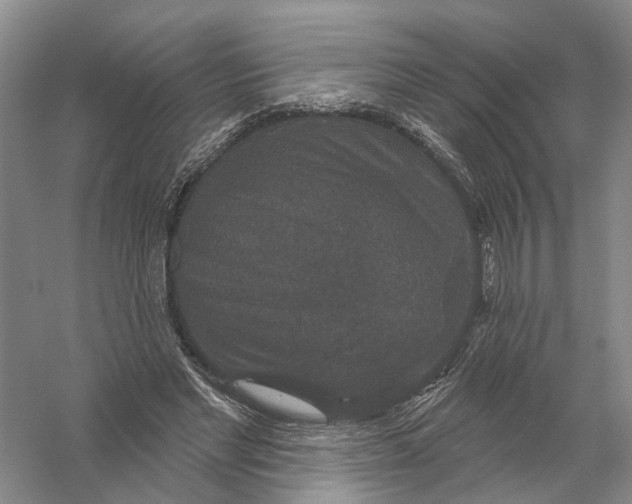 X0000056330493200509232016