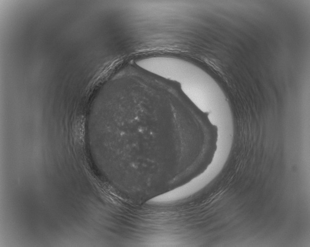 X0000056330495200509232016