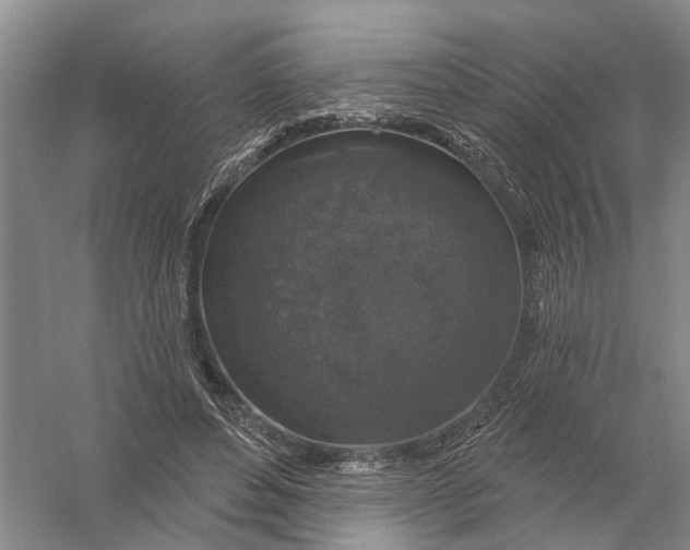 X0000056330496200509232016