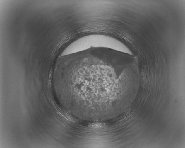 X0000056330499200509232016