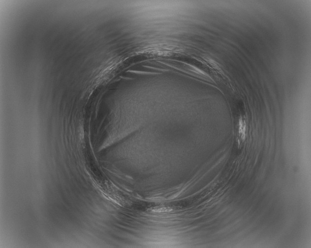 X0000056330500200509232016