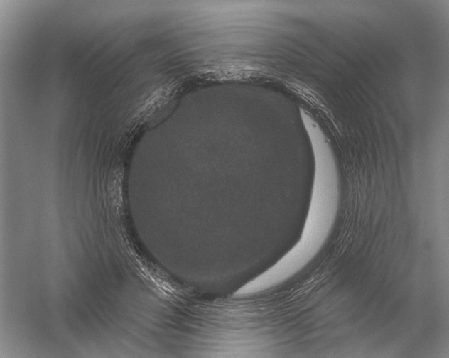 X0000056330501200509232016