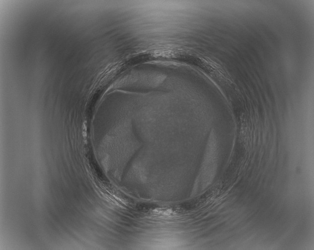 X0000056330502200509232016