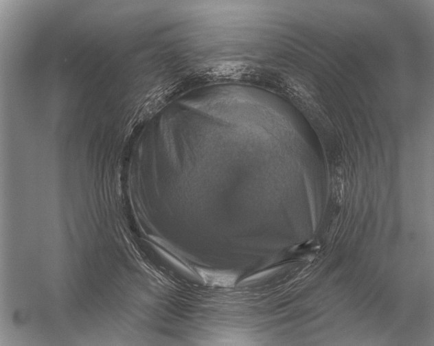 X0000056330504200509232016