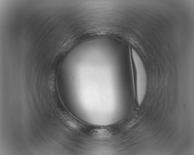 X0000056330509200509232016