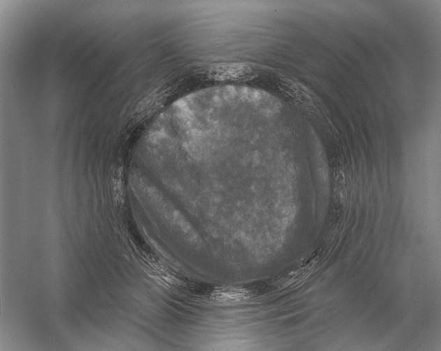 X0000056330510200509232016