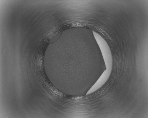 X0000056330513200509232016