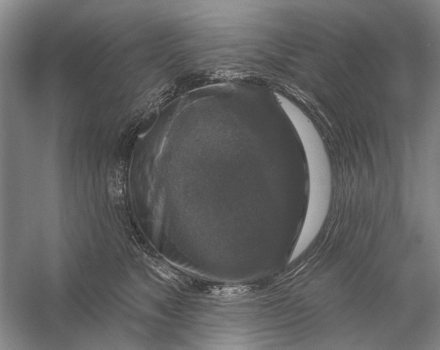 X0000056330517200509232016