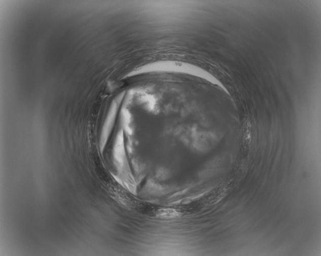 X0000056330519200509232016