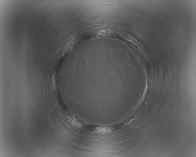 X0000056330520200509232016