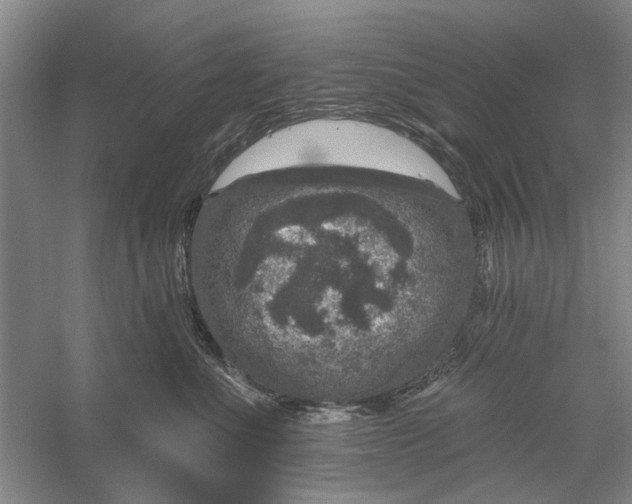 X0000056330523200509232016