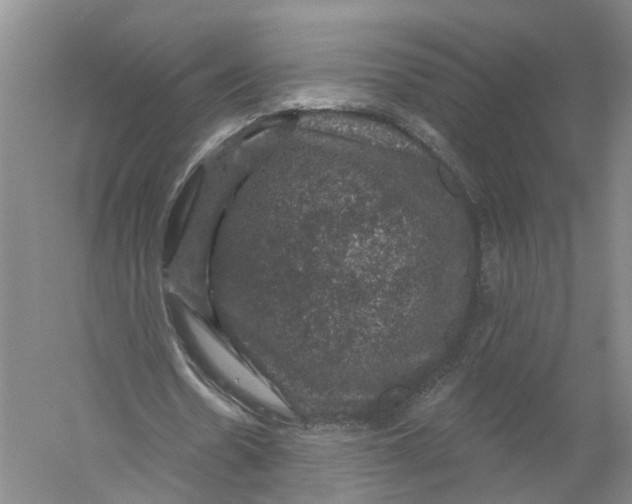 X0000056330530200509232015