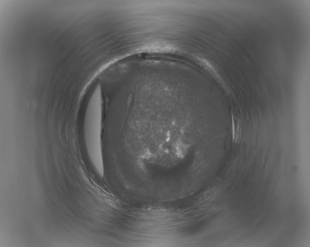 X0000056330531200509232015