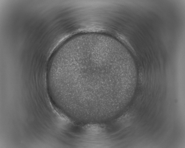 X0000056330534200509232015