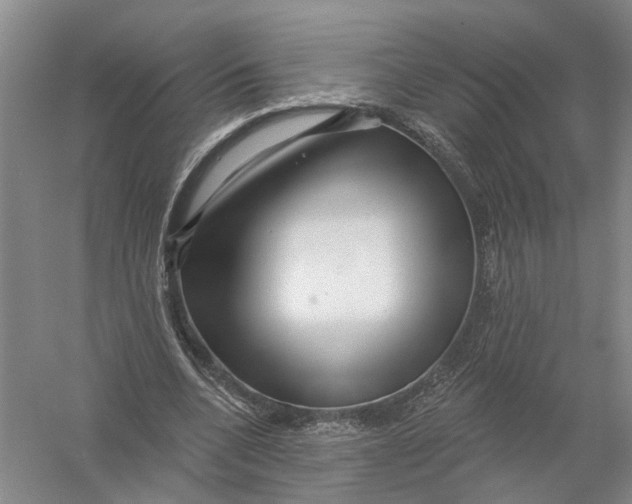 X0000056330536200509232015