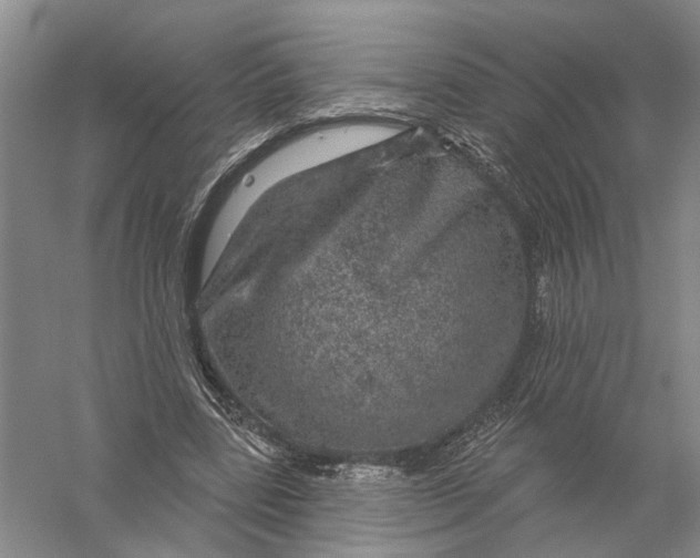 X0000056330539200509232015