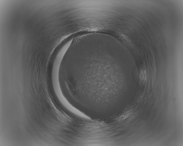 X0000056330540200509232015