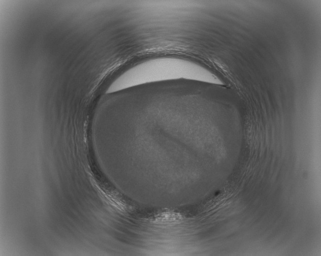 X0000056330543200509232015