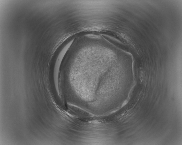 X0000056330544200509232015