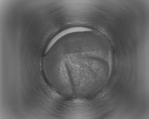 X0000056330545200509232015