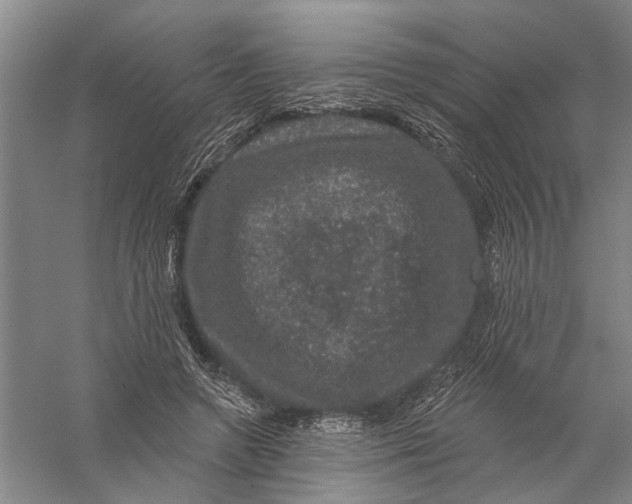 X0000056330546200509232015