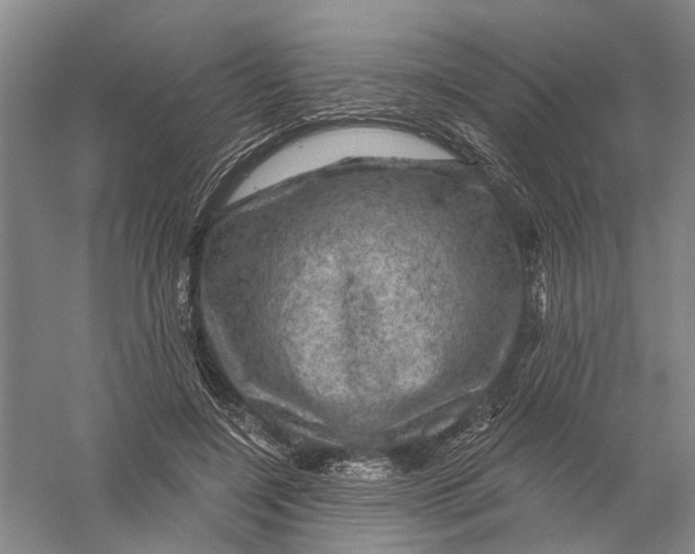 X0000056330548200509232015