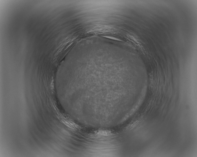 X0000056330549200509232015