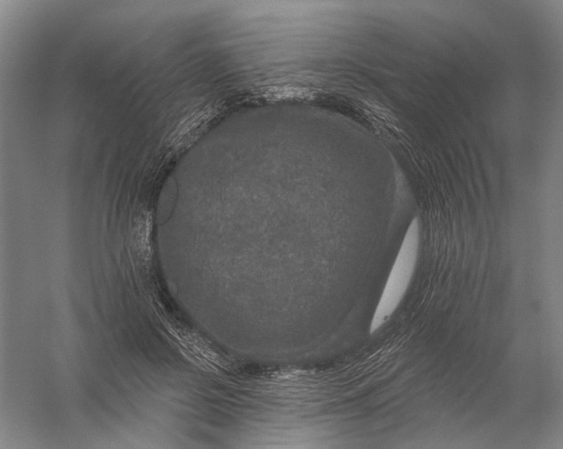 X0000056330550200509232015