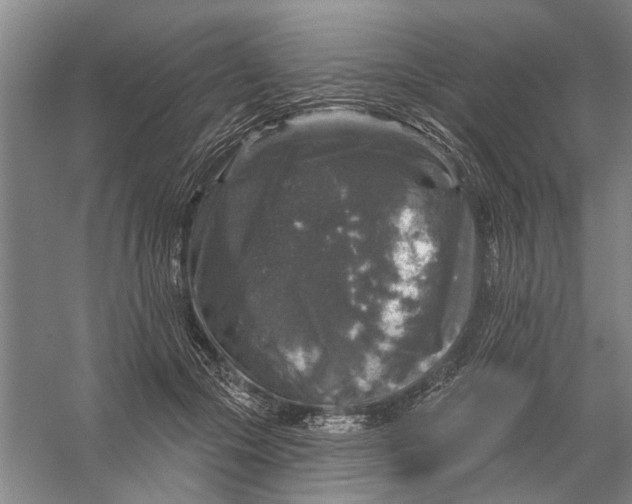 X0000056330553200509232015