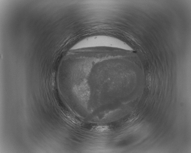 X0000056330554200509232016