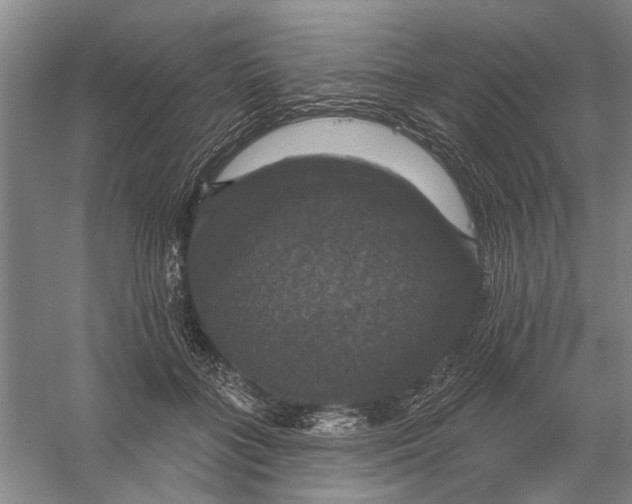 X0000056330555200509232016