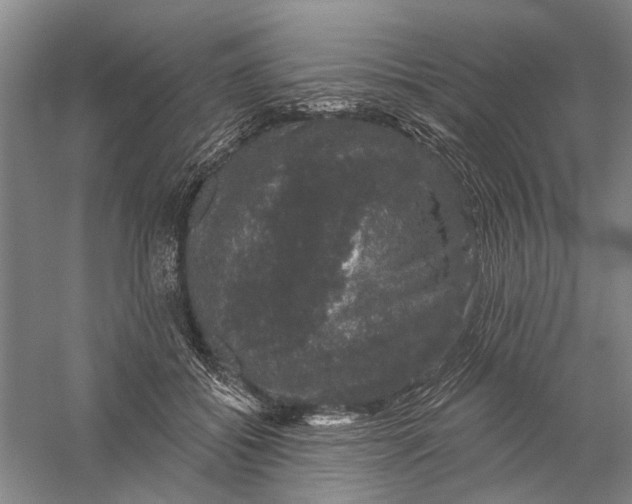 X0000056330556200509232016