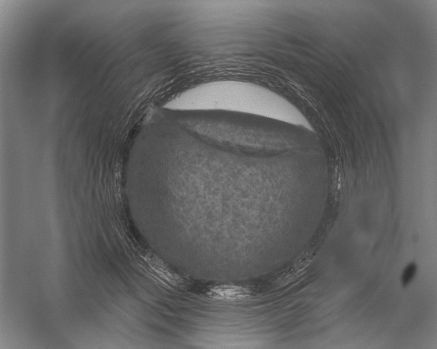 X0000056330557200509232016