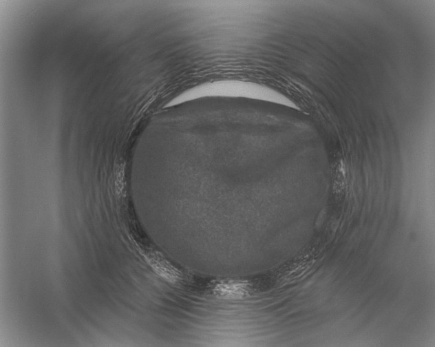 X0000056330560200509232016