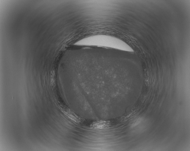 X0000056330563200509232016