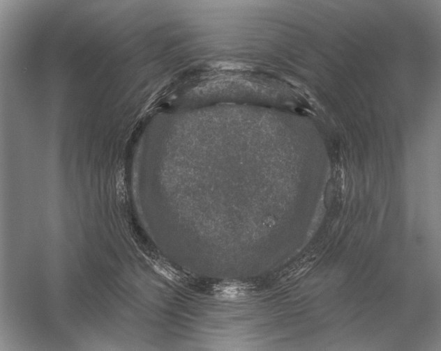 X0000056330564200509232016