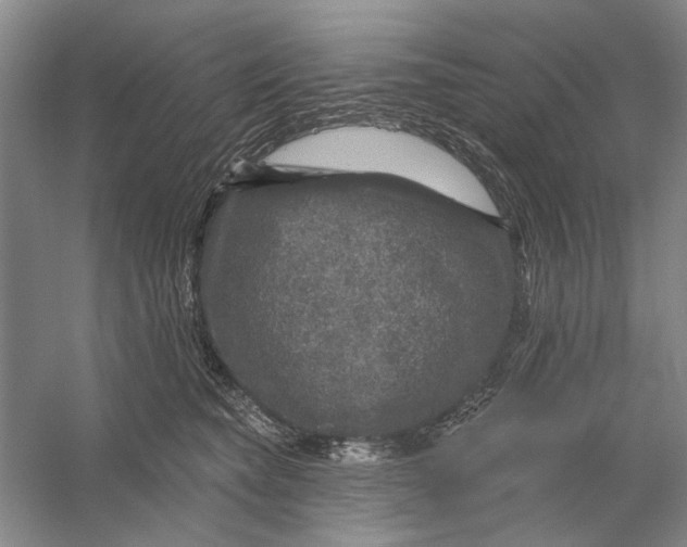 X0000056330565200509232016