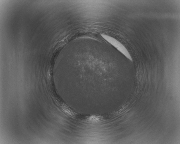 X0000056330566200509232016