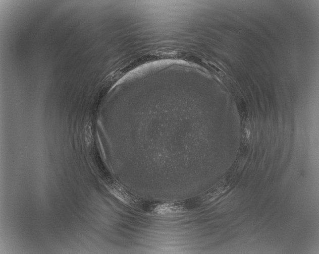 X0000056330568200509232016