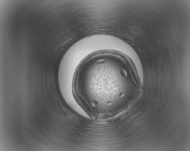 X0000056330570200509232016