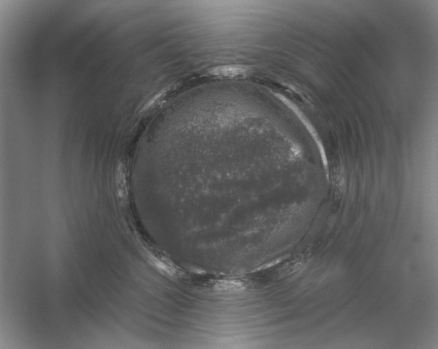 X0000056330572200509232016