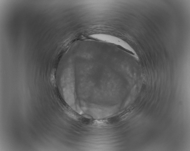 X0000056330573200509232016