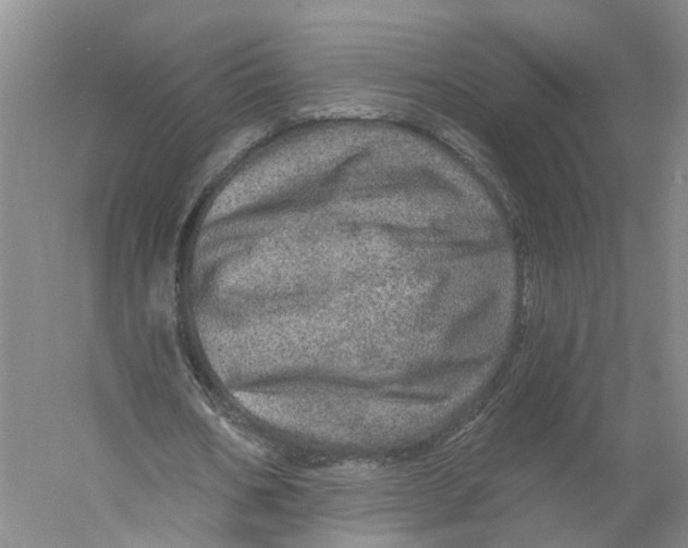 X0000056330578200509232015