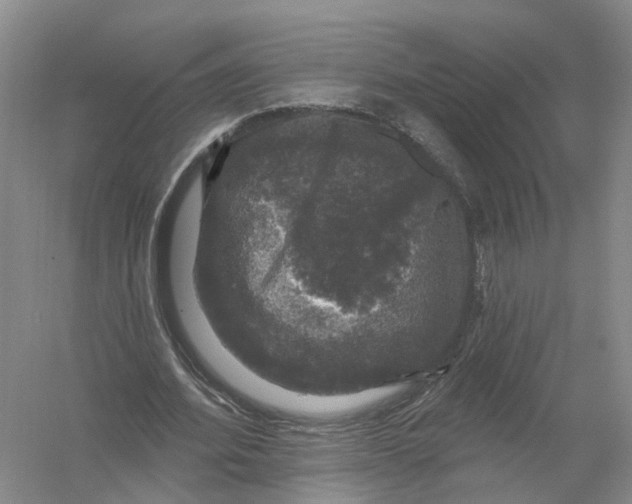 X0000056330580200509232015