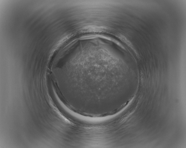 X0000056330581200509232015